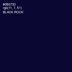 #0B0733 - Black Rock Color Image